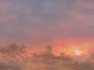 Layered sky