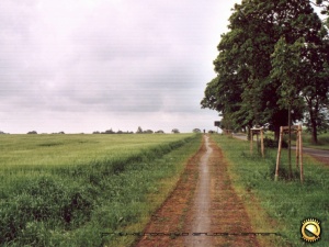 Road To Enlightenment