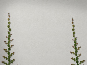 Ivy wall (light)
