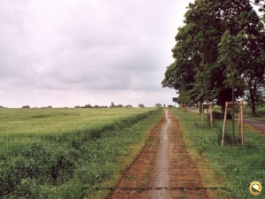Road to Enlightenment